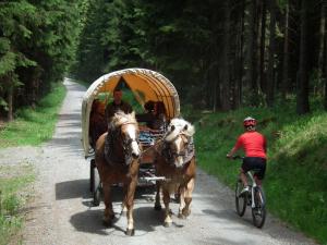 a group of people riding on a horse drawn carriage at Maisonette holiday apartment Fichtelberg in Annaberg-Buchholz