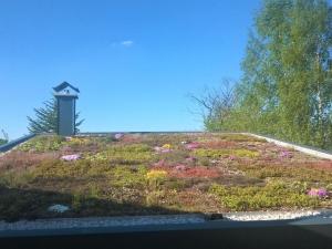 Fotografie z fotogalerie ubytování Gutsweg One - Apartment 3 v destinaci Eibenstock