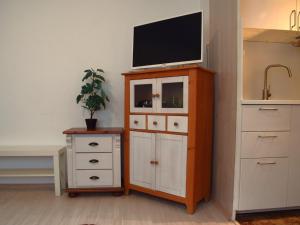 奧伯豪森的住宿－Apartment in Oberhausen near centre，梳妆台上方的电视机