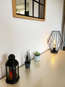 蓬圖瓦茲的住宿－Le Loft de L’Écluse / F2 cosy au bord de l'eau，一张桌子上放着蜡烛和两株盆栽植物