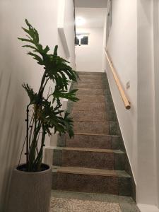 Gambar di galeri bagi 白小美輕旅民宿 市中心 新開幕特惠 可包棟 di Magong