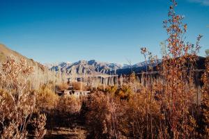 un champ planté d'arbres et de montagnes en arrière-plan dans l'établissement The Legacy Alchi, à Leh