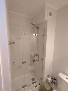 W łazience znajduje się prysznic ze szklanymi drzwiami. w obiekcie Departamento Centro Plaza 403 w mieście Pitrufquén