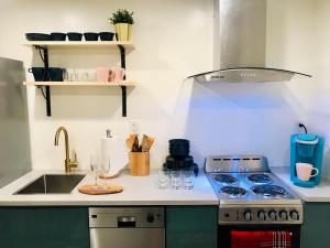 a kitchen counter with a stove and a sink at Luxury City Tiny House in Denver