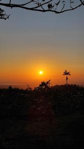 einen Sonnenuntergang mit einer Palme im Hintergrund in der Unterkunft Río Celeste Nature View in Upala
