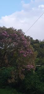 Galeriebild der Unterkunft Villa Rural in Campos do Jordão
