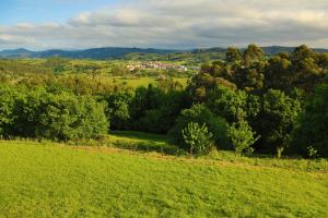 a green field with trees and a town in the distance at Gane Landetxea in Barrika