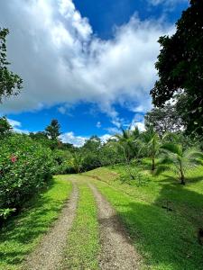a dirt road through a green field with trees at Arbol De La Vida at La Alfombra de Baru 
