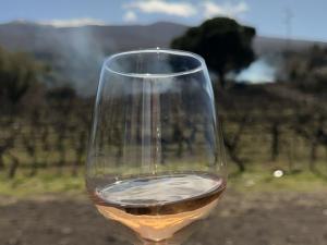 a glass of wine with a field in the background at Suite in vigneto in Passopisciaro