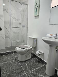 y baño con aseo, ducha y lavamanos. en Zavara Hostal, en Pueblo Tapado