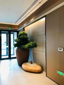 a large potted plant sitting on the floor in a lobby at Ji Hotel Yantai Wanda Plaza Huanshan Road in Yantai