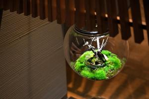 a glass jar with a miniature plant in it at Hotel Resol Kyoto Shijo Muromachi in Kyoto