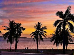 un groupe de palmiers sur une plage au coucher du soleil dans l'établissement THE SHORELINE SUBIC HOTEL, à Olongapo