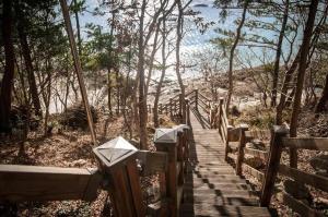 um calçadão de madeira que leva a uma praia com árvores em Wando Oneness Resort em Wando