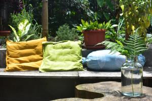 Zahrada ubytování Mama's Homestay Ruteng