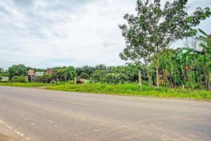 an empty street with a tree on the side of the road at OYO 92024 Green Hotel in Jambi