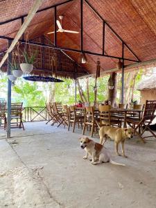 two dogs sitting in a patio with tables and chairs at Hometravel Mekong Can Tho in Can Tho