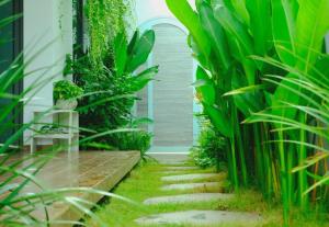 un jardín con plantas y un camino de piedra en Nha Trong Pho - The Chilling House, en Buôn Alê (1)