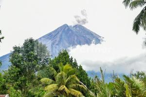 Gallery image of Fanta Home @ Pronojiwo Lumajang RedPartner in Lumajang