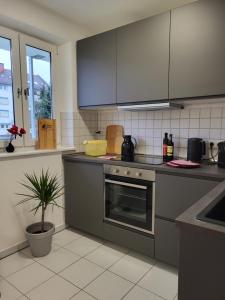 a kitchen with stainless steel appliances and a potted plant at ALA Living Stadt-Schwärmer Apartment 10min zum Ulmer Münster & Ulmer Altstadt, WLAN & Arbeitsplatz in Neu Ulm