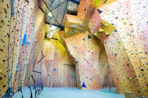 a room with a rock wall with a climbing exhibit at Cozy Private Single Room in Carramar - Nearby Station & Shops - Shared Bathroom in Sydney