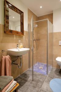 a bathroom with a sink and a shower at Goldener Löwe in Bodman-Ludwigshafen