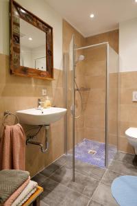 a bathroom with a sink and a shower at Goldener Löwe in Bodman-Ludwigshafen +120 photos