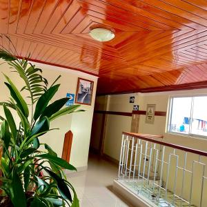 伊基托斯Hotel Ventura Isabel的一间设有木制天花板和植物的房间