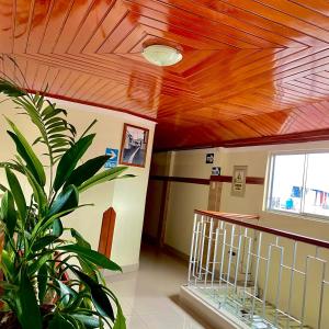 Habitación con techo de madera y planta en Hotel Ventura Isabel, en Iquitos
