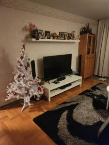 Sala de estar con árbol de Navidad y TV en Ananis Stuga, en Svartå