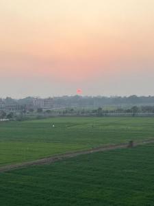 ein grünes Feld mit Sonnenuntergang im Hintergrund in der Unterkunft The Host in Amritsar