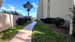 a walkway in front of a building with a palm tree at Edgewater 507 Condominium Condo in South Padre Island