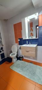 ママイア・ノルドにあるVila FLUX Mamaia Nordのバスルーム(トイレ、洗面台、鏡付)
