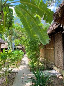 カントーにあるHometravel Mekong Can Thoの大緑のバナナの木