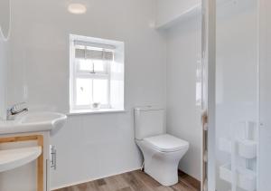 a bathroom with a toilet and a sink and a window at Bronwydd in Abersoch