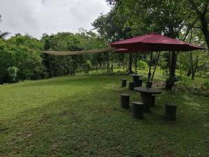 una mesa de picnic y una sombrilla en un parque en Cozy Lake House Accommodation for 10 to 15 guests 