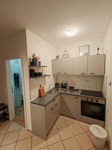Kuchyňa alebo kuchynka v ubytovaní Apartment Helena Rovanjska
