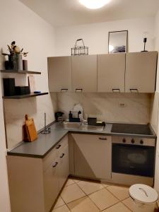 Kuchyňa alebo kuchynka v ubytovaní Apartment Helena Rovanjska