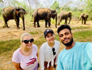 a group of people standing in front of elephants at Sheran Safari House in Udawalawe