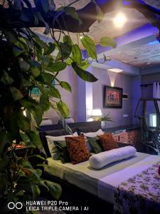 - une chambre avec un lit et une plante dans l'établissement Serendib Village Guest House, à Negombo