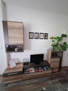 Televízia a/alebo spoločenská miestnosť v ubytovaní Aréna Apartman