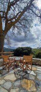 two wooden benches and a table under a tree at Hatzanario Apeiranthos in Apeiranthos