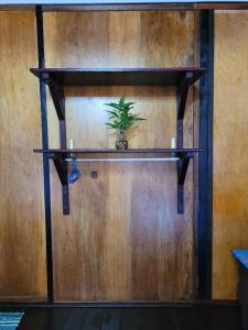 una planta en un estante sobre una pared de madera en The Station Tioman, en Tioman Island