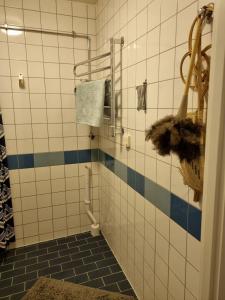 a bathroom with a shower with blue and white tiles at Doktor Forselius gata 16 in Gothenburg