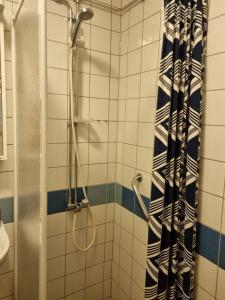 a bathroom with a shower with a shower curtain at Doktor Forselius gata 16 in Gothenburg