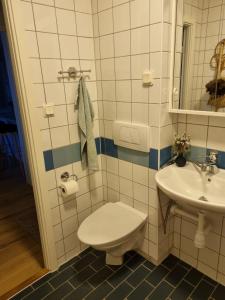 y baño con aseo y lavamanos. en Doktor Forselius gata 16 en Gotemburgo