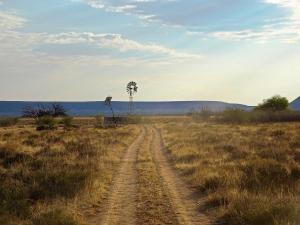 マルタヘーエにあるThe Farm Life - Namibiaの風車の畑の中の未舗装道路
