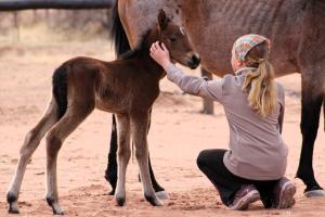 a woman is petting a baby horse at The Farm Life - Namibia in Helmeringhausen