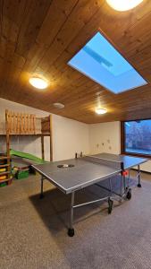 Stolní tenis v ubytování Apartmány Horský Dvůr nebo okolí
