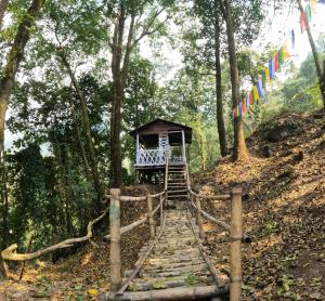 a wooden stairway leading to a small building in the woods at Sunnyside Campstay in Kurseong